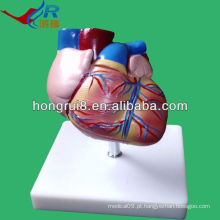 ISO New Style Life Size Modelo de anatomia cardíaca, coração anatômico